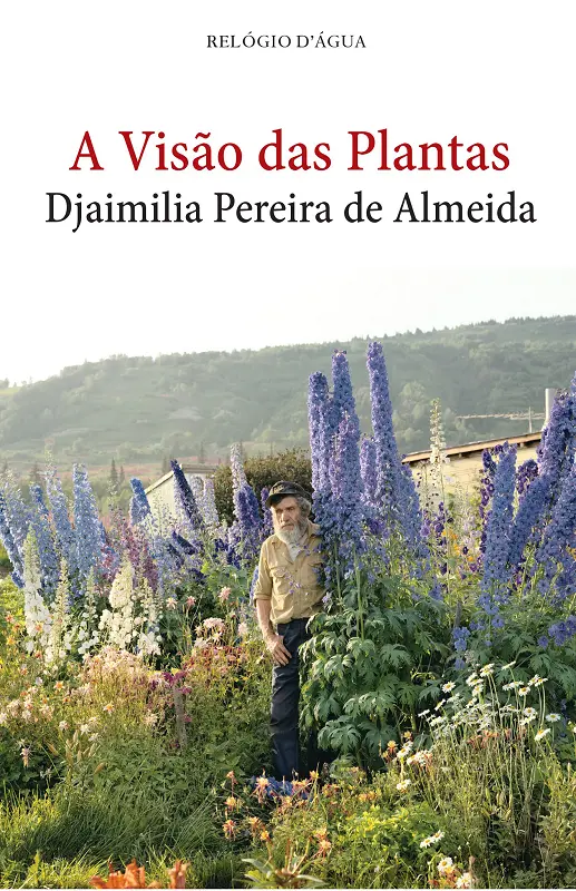 Imagem: Divulgação