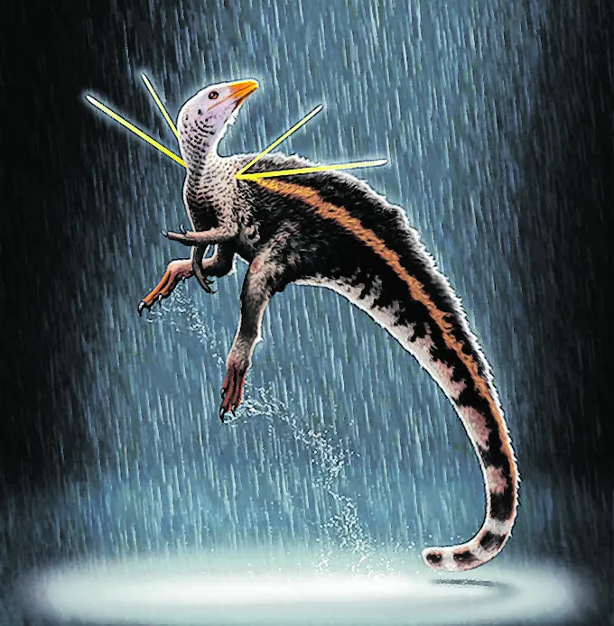 Recriação do Ubirajara jabutus mostra como era o dinossauro que viveu a cerca de 110 a 115 milhões de anos