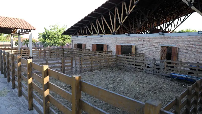 Clínica Veterinária Universidade de Fortaleza