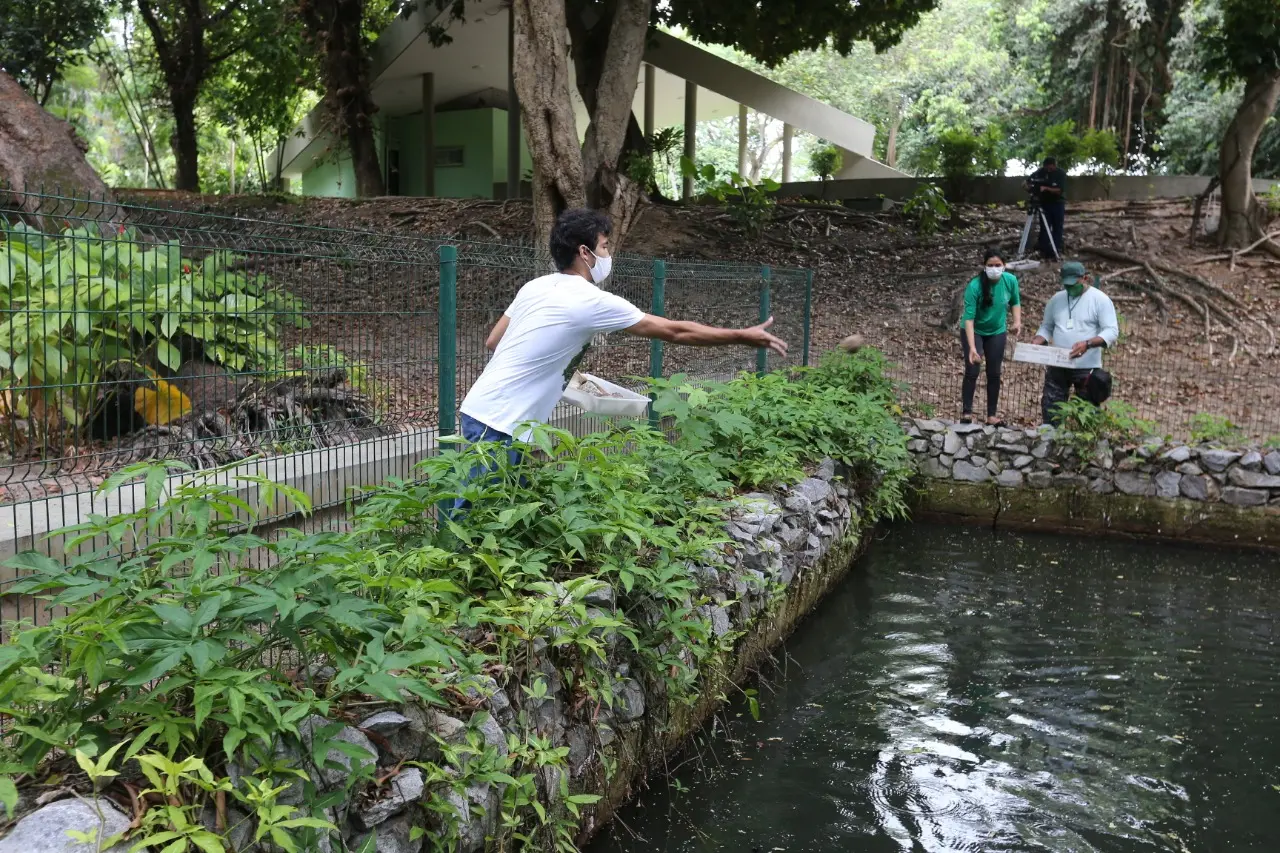 Imagem da notícia Projeto desenvolvido no Parque do Cocó visa reduzir poluição de ambientes aquáticos 