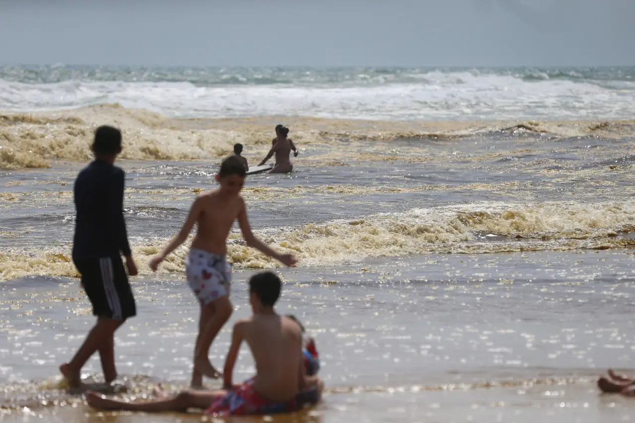 Mesmo com água escura, banhistas realizaram práticas esportivas neste domingo