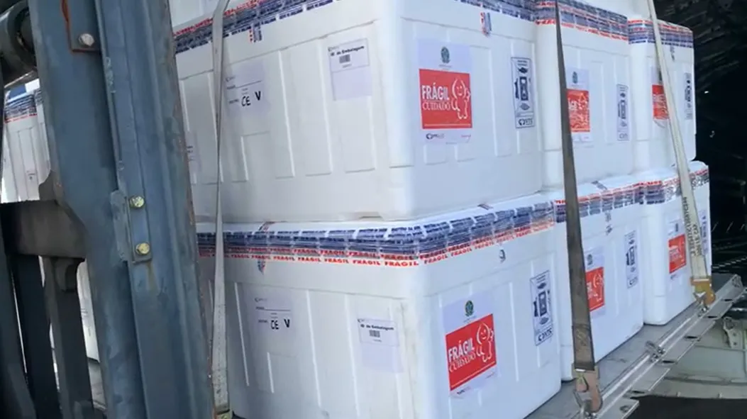 Novo lote com 115 mil doses será utilizado para imunizar profissionais da Saúde