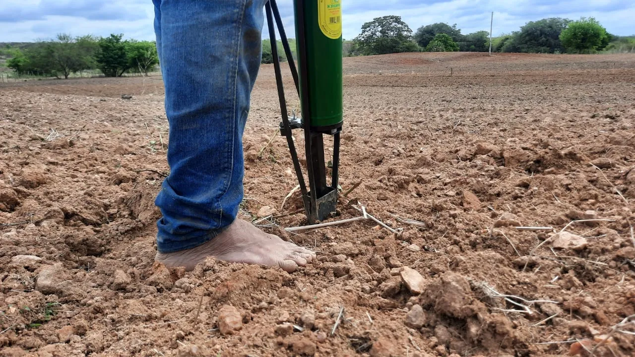 De olho na chegada das chuvas, agricultores já preparam a terra para o plantio