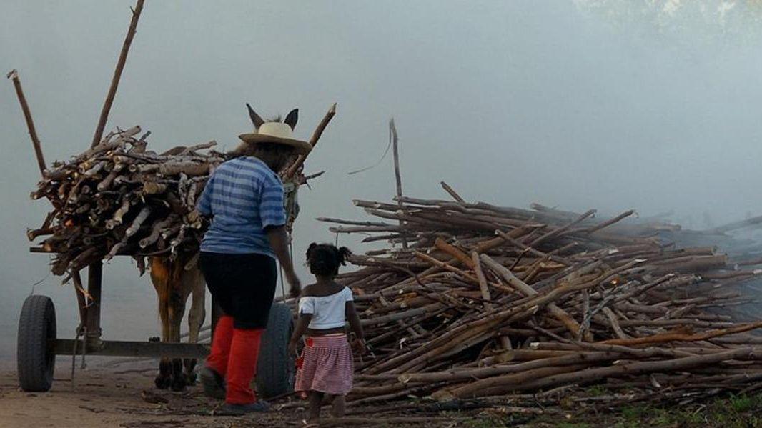 Trabalhadoras do Brasil - Nordeste