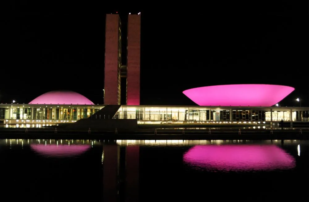 No Dia Internacional da Mulher, uma das homenagens do Congresso Nacional foi a projeção na cúpula das Casas