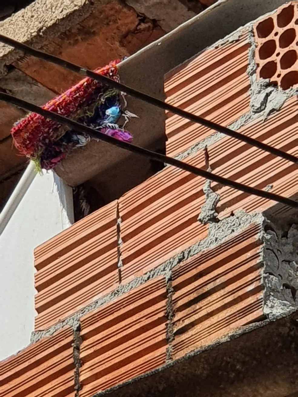 Casa da criança mantida acorrentada em Campinas