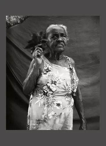 Esta é uma imagem da Dragaleria