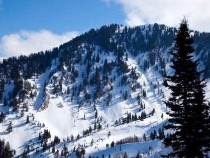 Avalanche mata quatro esquiadores em Utah