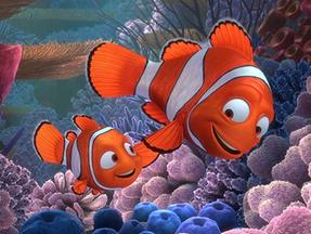 Os peixes Nemo e Marlin em Procurando Nemo (2003), filme da Sessão da Tarde desta segunda (15)