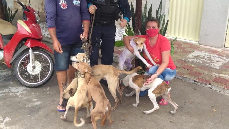 Cachorros resgatados após maus-tratos em Icó