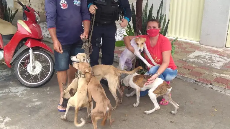 capa da noticia