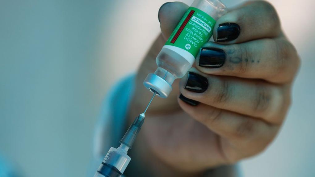 Em janeiro, chegou ao País o primeiro lote da vacina contra a Covid-19, com 2 milhões de doses