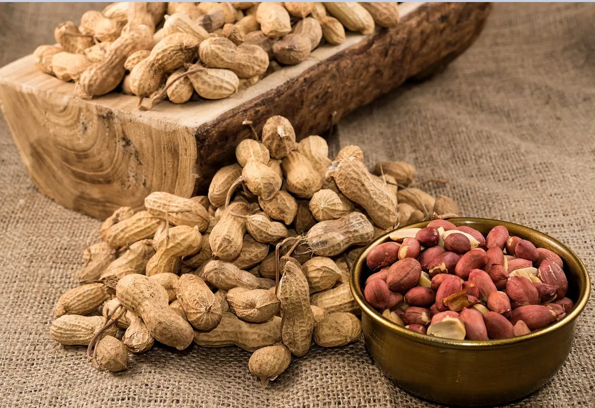 Vasilha com amendoins, que trazem diversos benefícios à saúde.