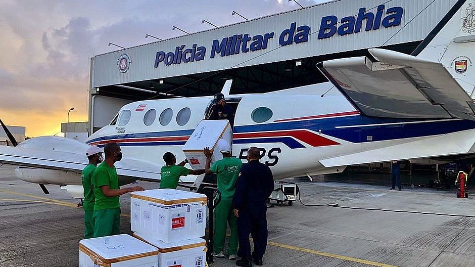 Avião com vacinas bate em jumento na Bahia