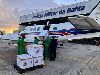 Avião com vacinas bate em jumento na Bahia
