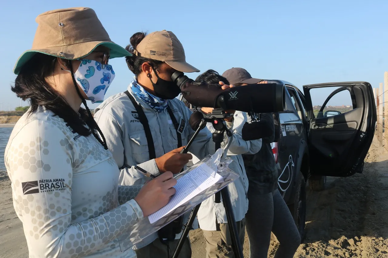 Grupo de monitoramento das Aves Migratórias do Nordeste, em Icapuí