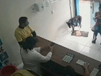 Machucado, cachorro de rua entra em clínica veterinária e mostra a pata