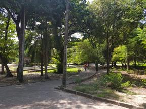 Parque Rio Branco, em Fortaleza