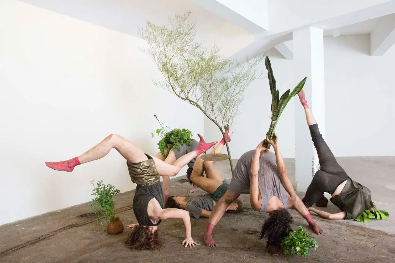 MONSTRA, uma coreografia-colagem para pessoas e plantas.