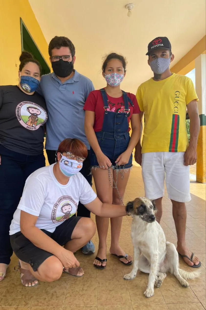 Betovem recebeu alta da Associação São Francisco Defensora dos Animais, onde estava sendo cuidado, nesta segunda-feira (17)