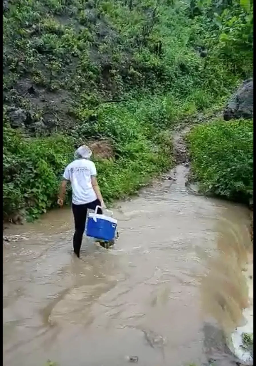 Cleideana anda quase 10km por dia para realizar a vacinação na zona rural de Palmácia