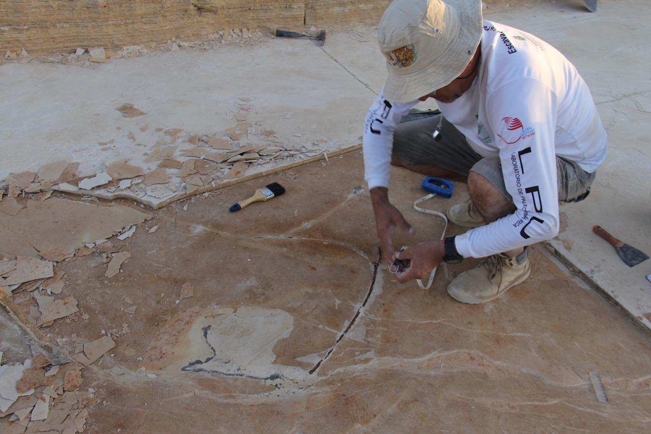 Paleontólogo Álamo Saraiva durante escavação controlada