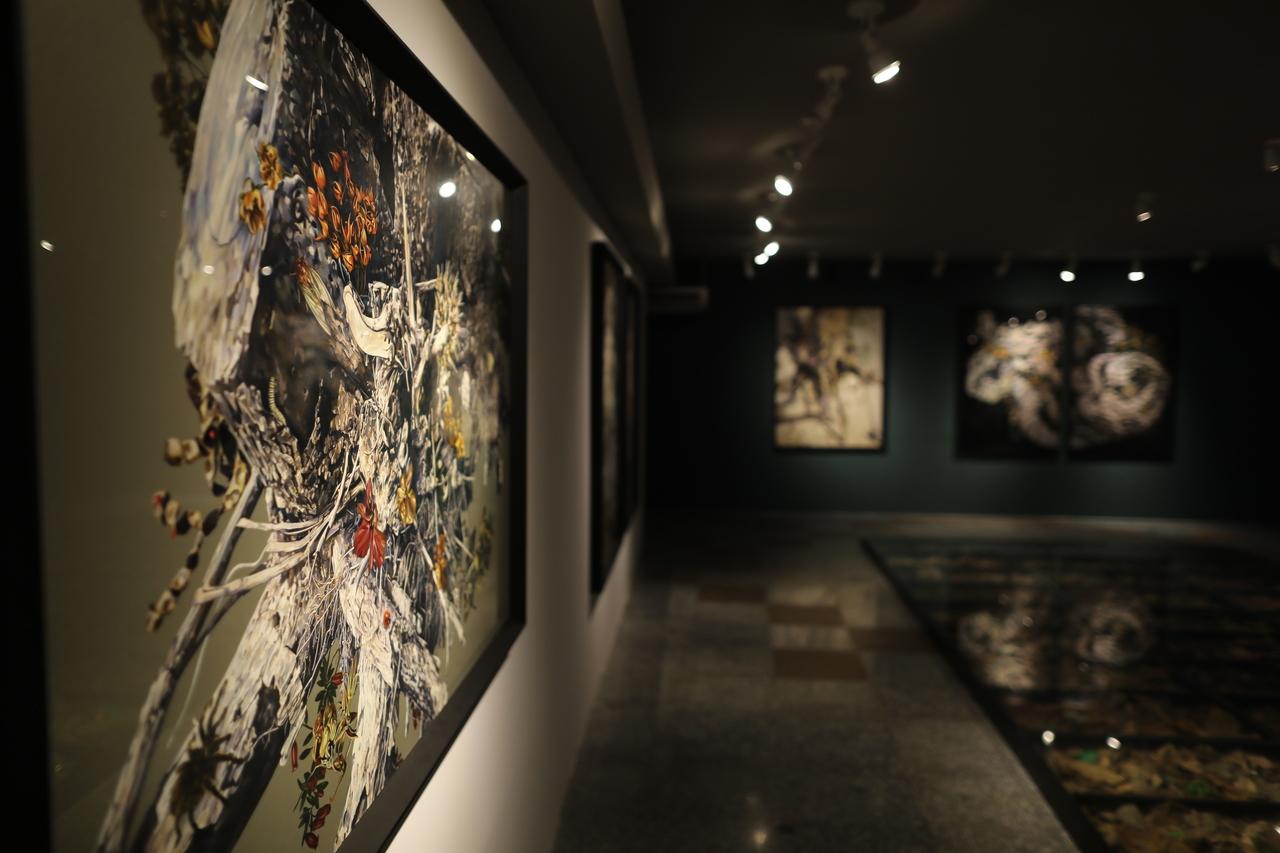 A 13ª mostra individual do artista também faz conexões com os acervos e os espaços da Fundação Edson Queiroz, destaca Izabel Gurgel.
