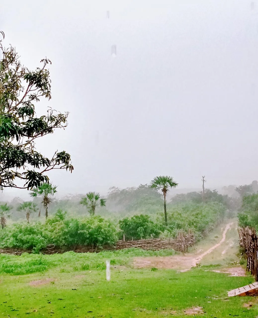 Granja teve a maior chuva do Litoral Norte do Ceará