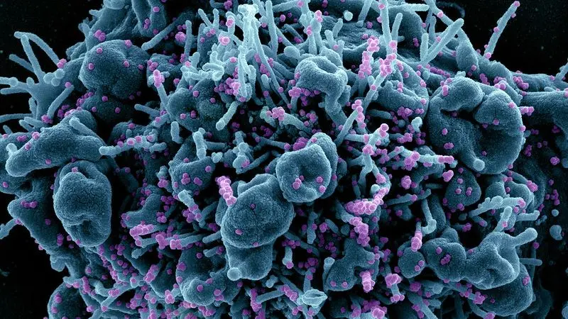 Variante coronavírus