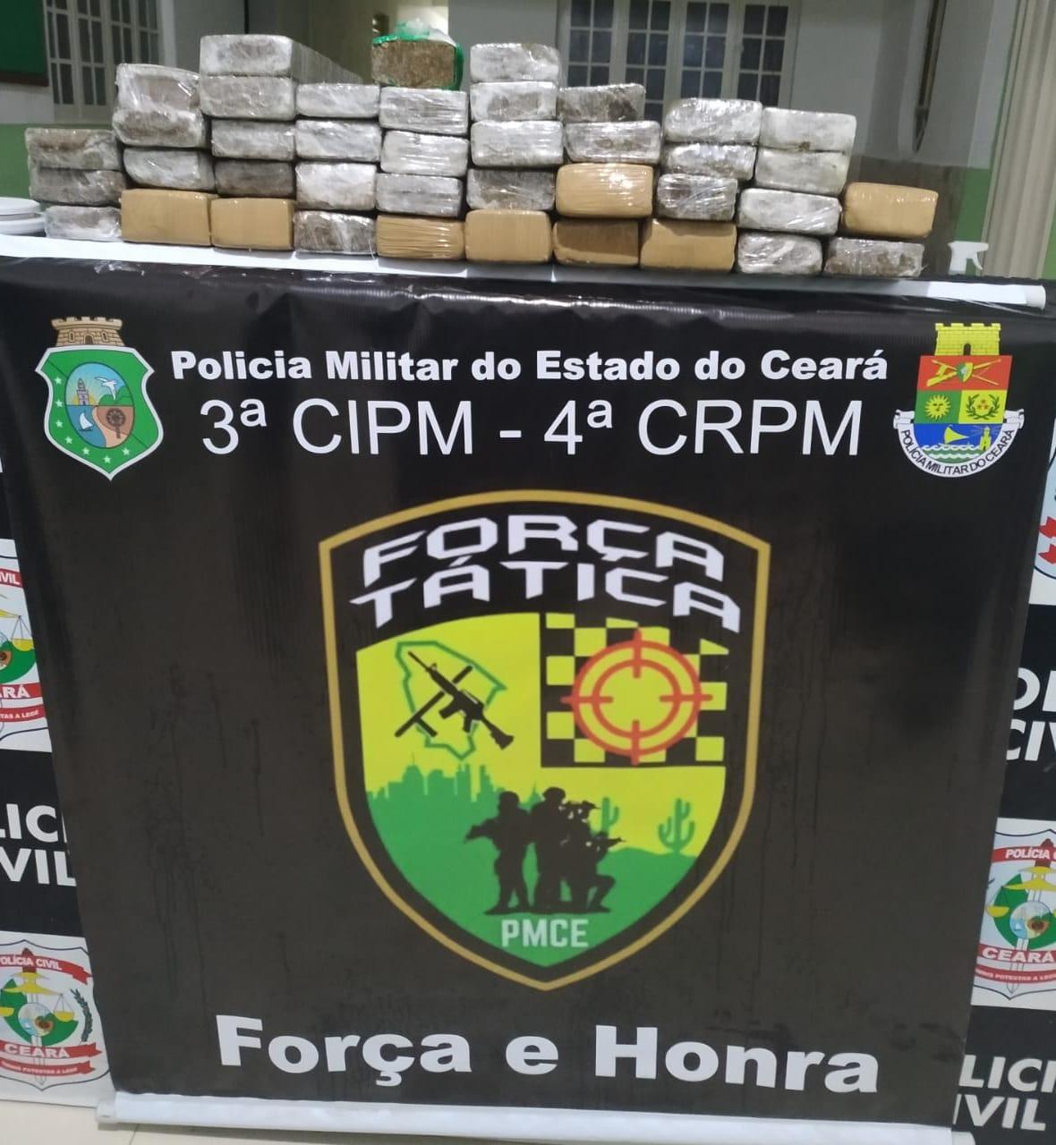 Carga de droga apreendida pela Polícia