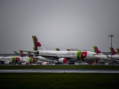 Aviões da TAP em aeroporto de Portugal