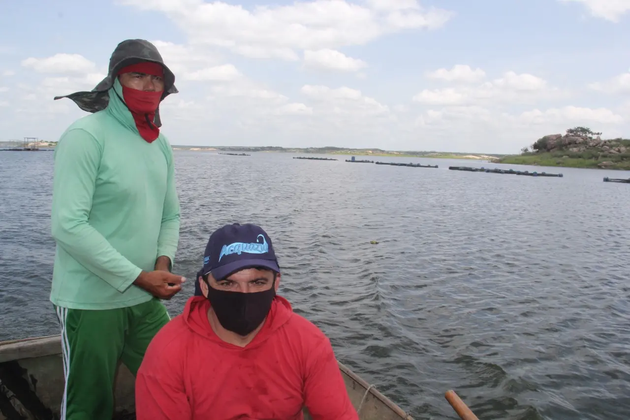 Em parceria com Laudo Clementino, Carlos Silva já chegou a ter 25 gaiolas, mas agora a dupla só mantém 15