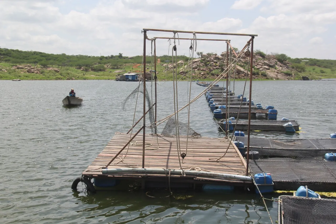 A secretaria de Desenvolvimento Econômico e Aquicultura de Jaguaribara apontou que, neste ano, com o cenário atual não há mais como retomar e ampliar a produção de tilápia no Castanhão