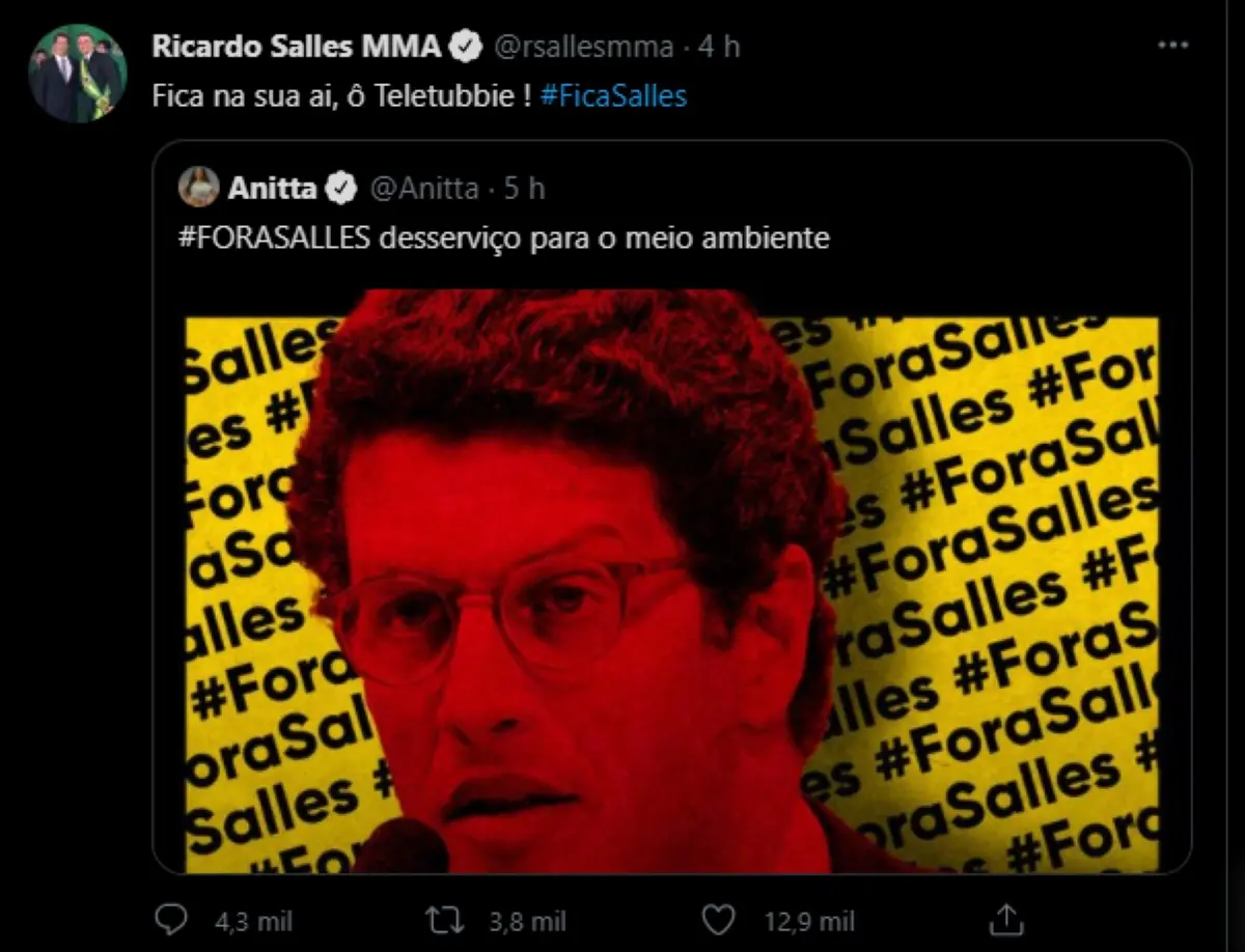 Print do twitter onde anitta e salles discutiram