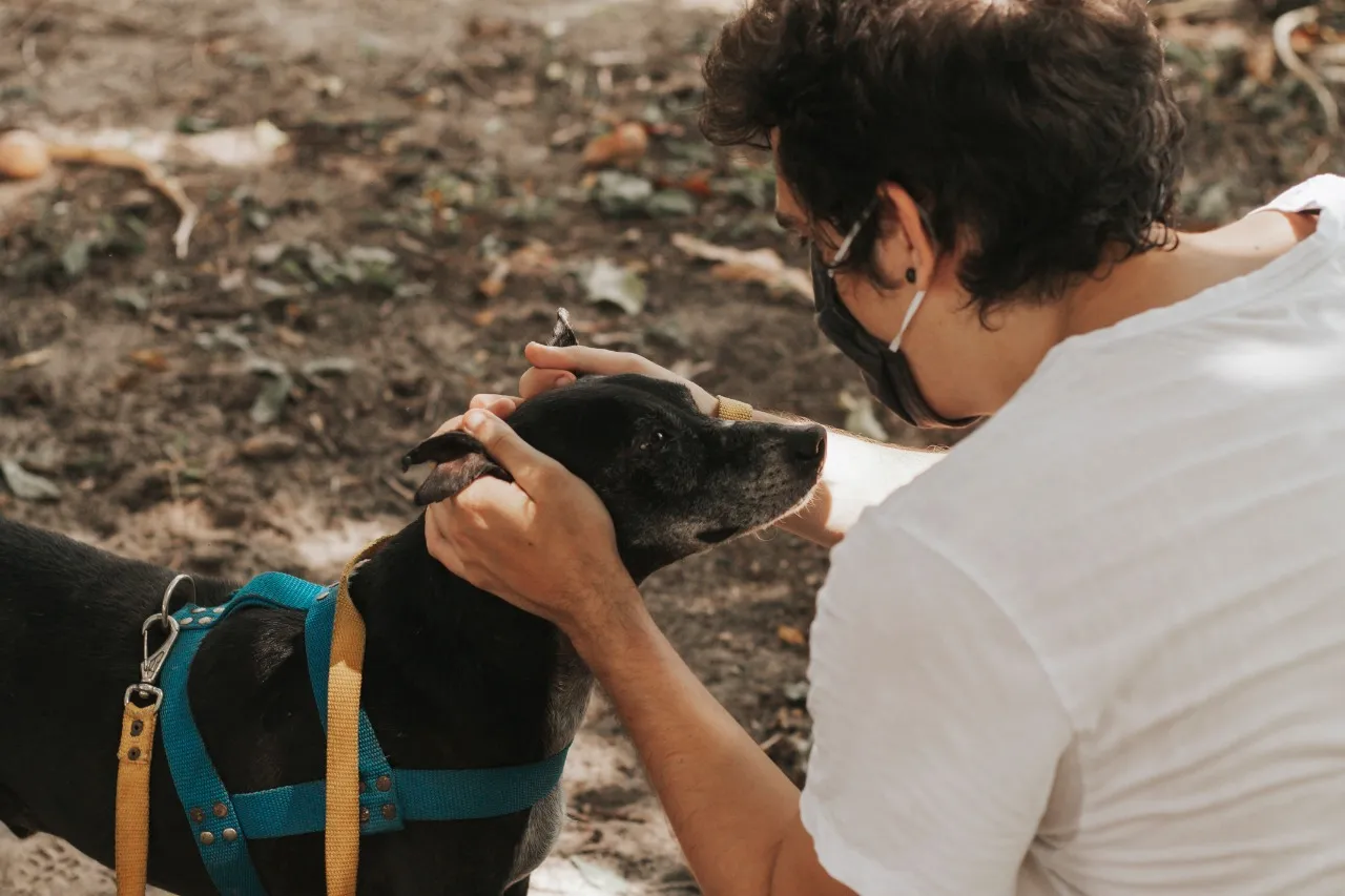 A ONG Abrace é uma instituição que trabalha exclusivamente com a adoção de animais em lares temporários