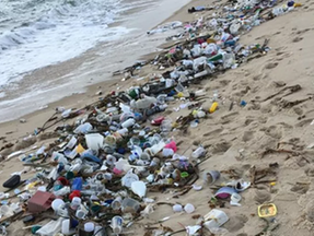 Praia do Rio Grande Norte com lixo