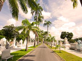 Cemitério de Santo Amaro, em Recife