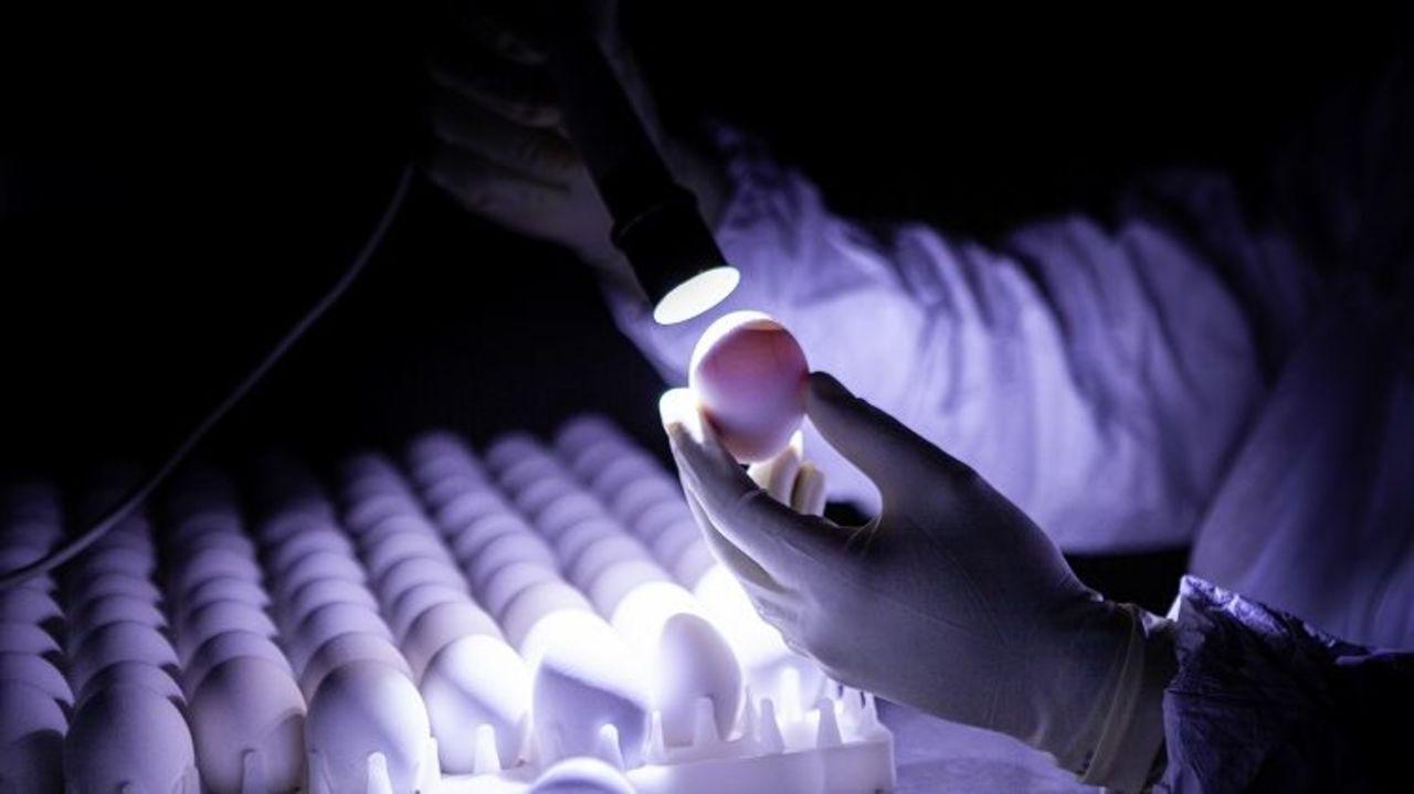 Produção da ButanVac