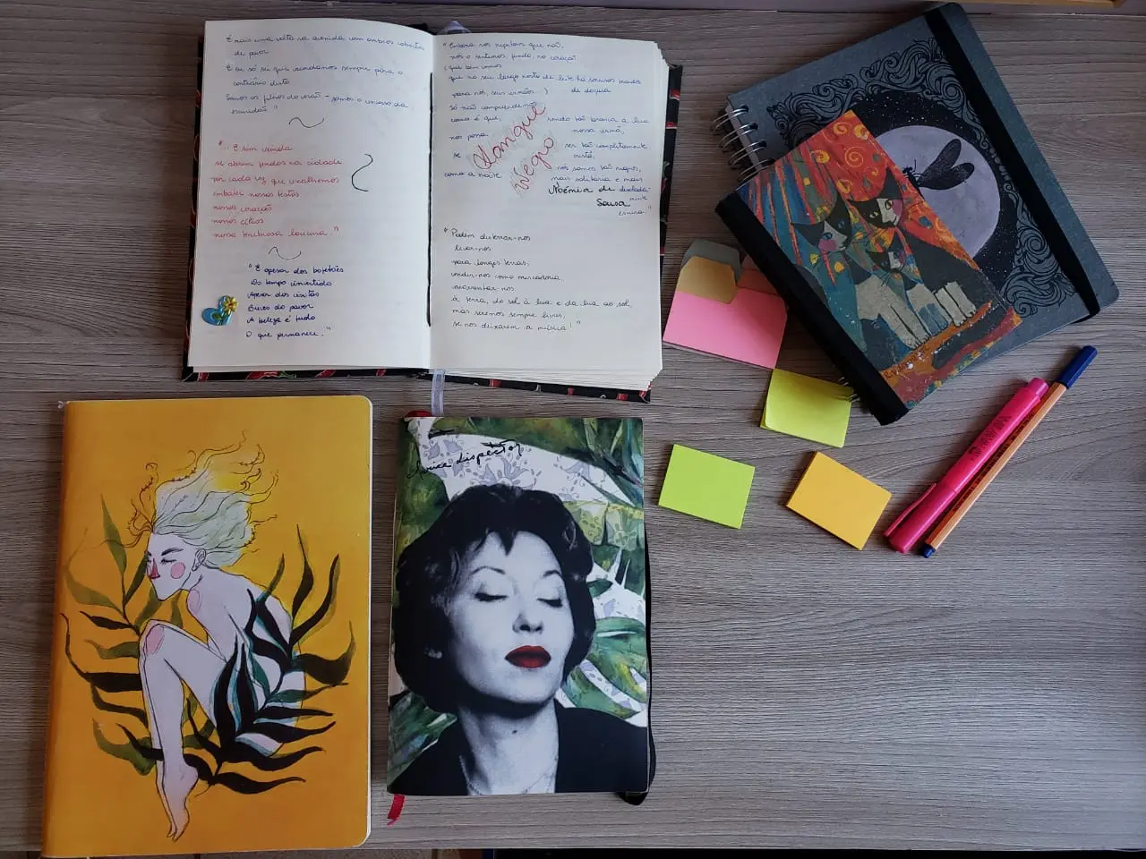 Cadernos de Nara Barreto