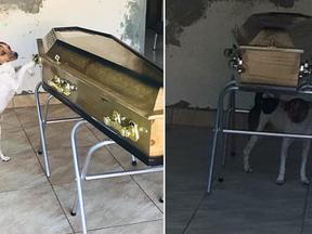 Cachorro chora ao lado de caixão de tutora na Bahia, em abril de 2021