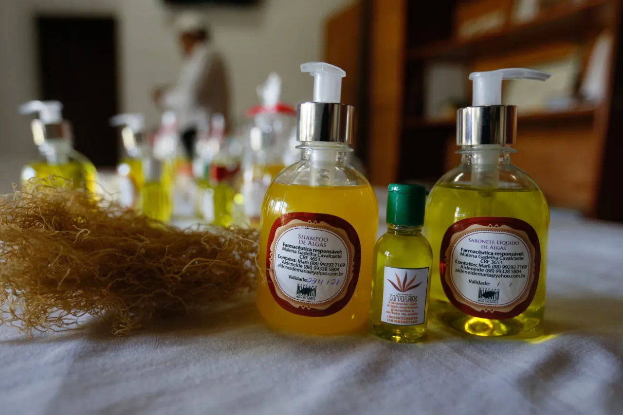 O projeto 'Mulheres de Corpo e Algas' fabrica uma série de produtos a base de algas