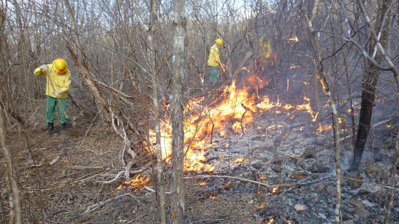 incêndio em vegetação do Ceará