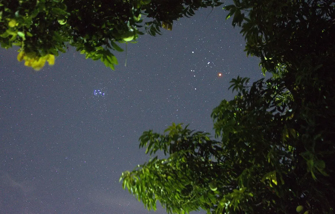 Estrelas no céu.
