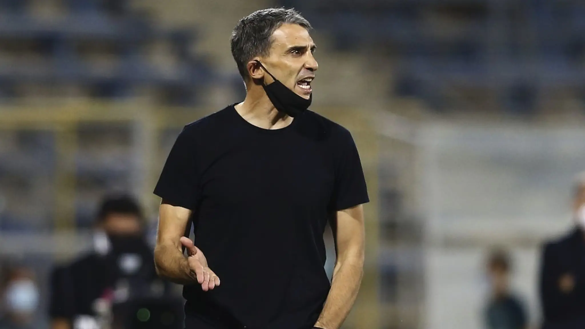 Vojvoda à beira do campo