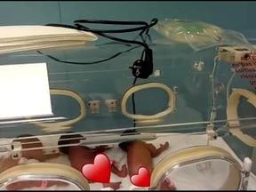 Bebês na encubadora
