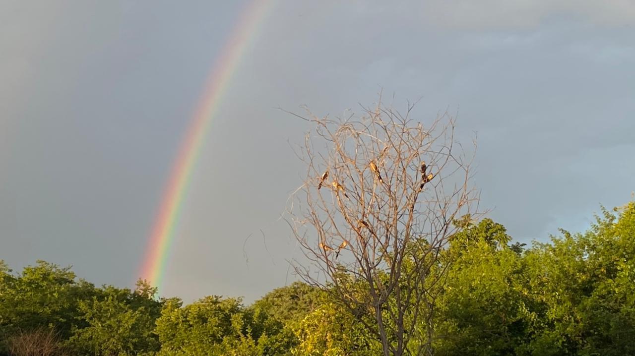 Região Norte do Ceará apresenta chuvas favoráveis