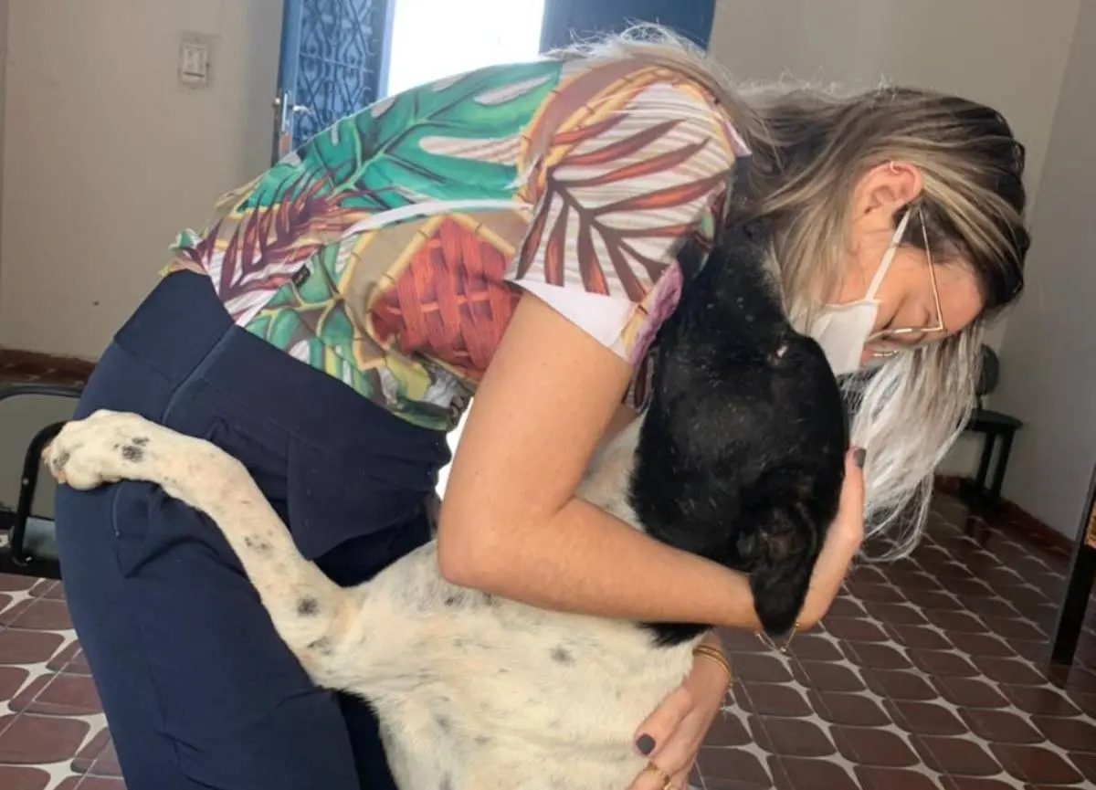 Cão adotado em Iguatu