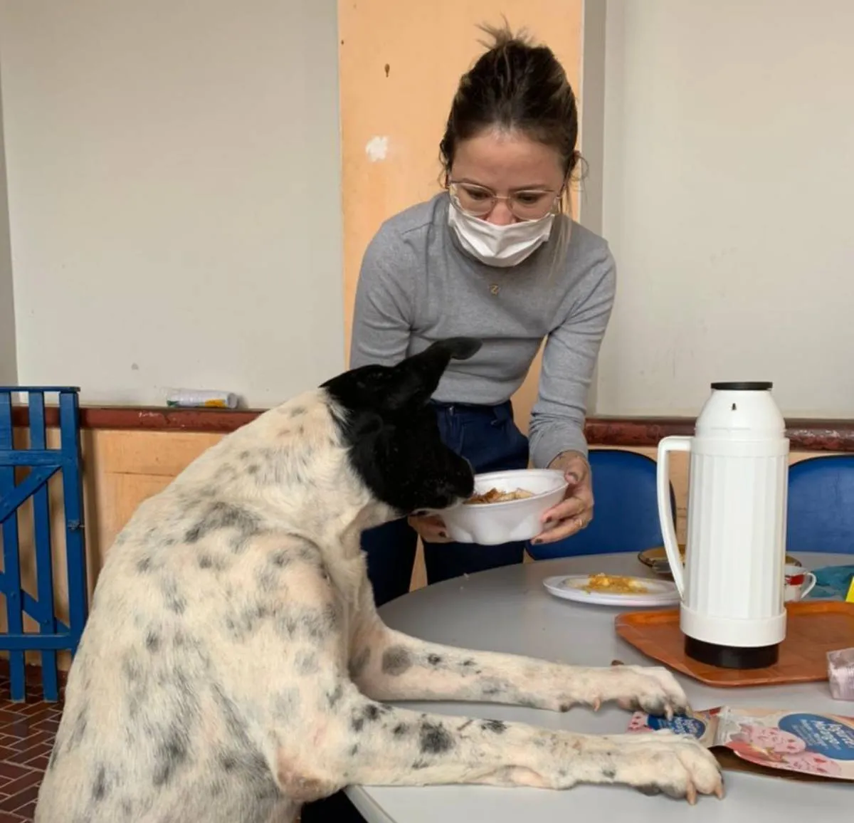 O cachorro visita todas as salas, dorme um pouco em cada uma, mas “prefere as que tem ar-condicionado”