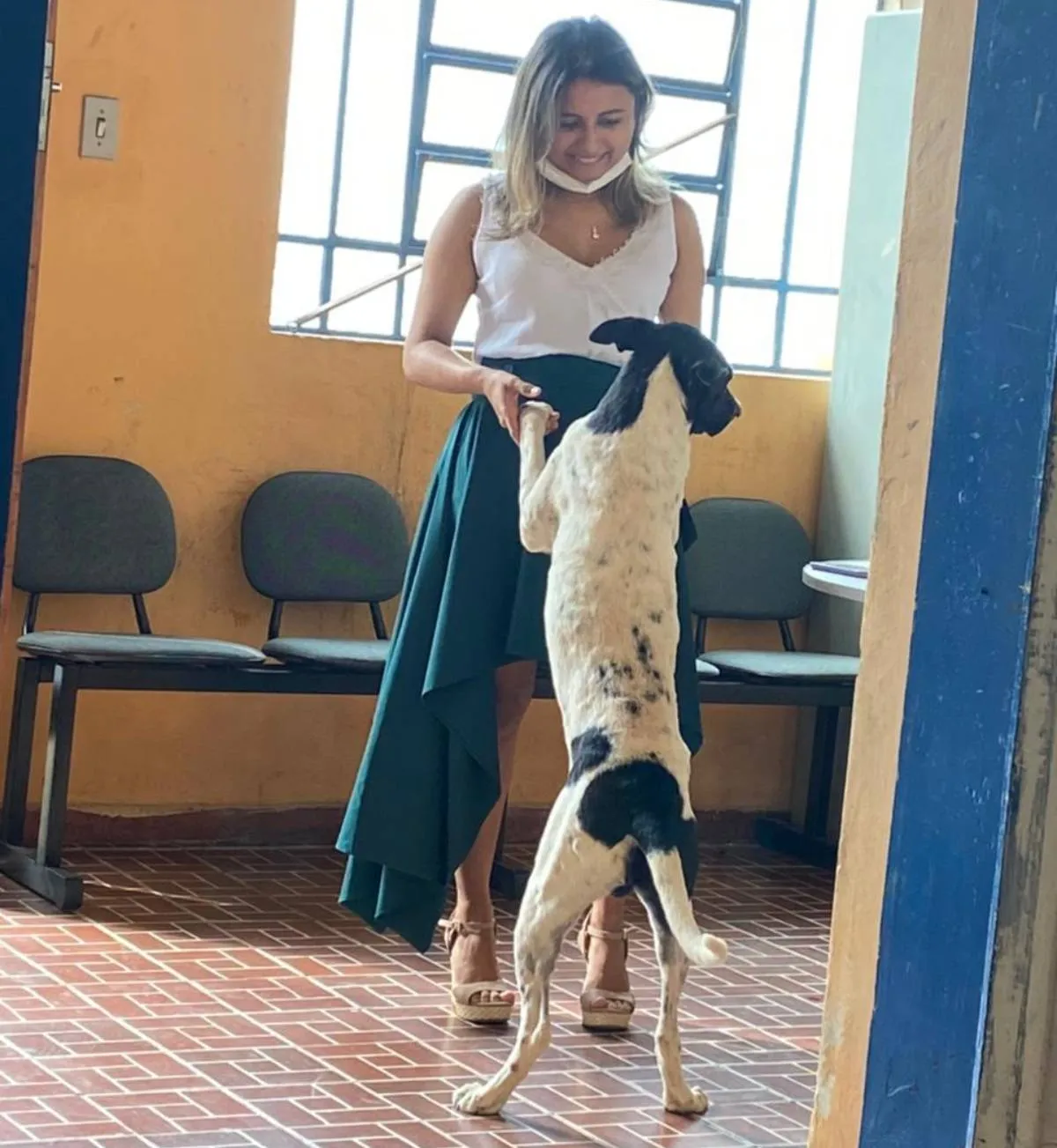 O cachorro é dócil e gosta de abraçar e ficar ao lado das pessoas