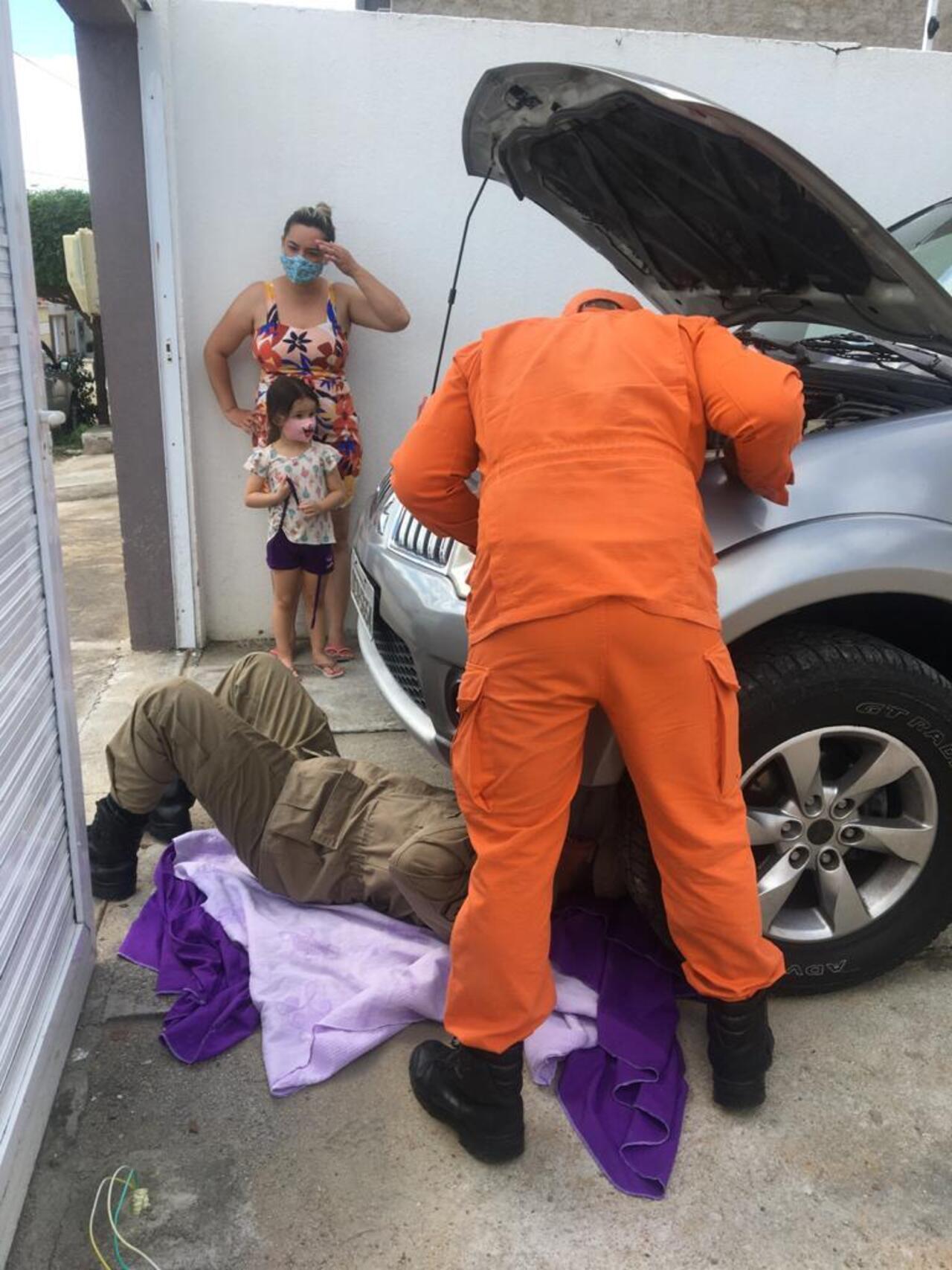 Bombeiros olham o motor do veículo para localizar o animal. Ao lado, mãe e filha, tutoras do animal, aguardam a finalização do resgate